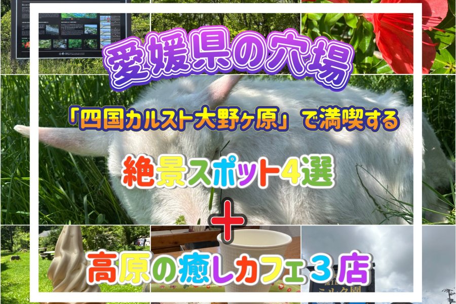 愛媛県の穴場｜「四国カルスト大野ヶ原」で満喫する絶景スポット４選＋高原の癒しカフェ３店
