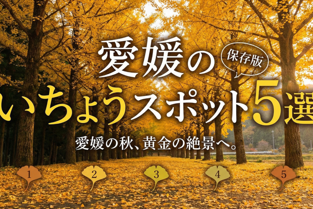 【愛媛の秋を楽しむ！】愛媛のおすすめいちょうスポット5選