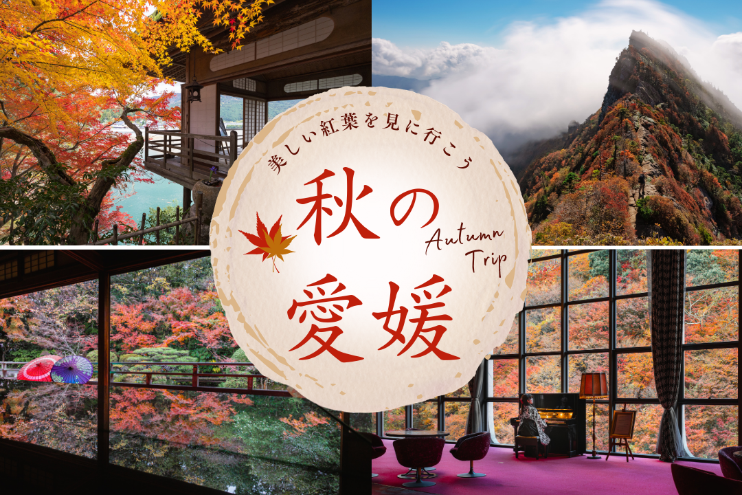 【永久保存版】愛媛の秋を制覇する。絶景！紅葉「神セブン」＆地元民が選ぶ紅葉名所ガイド