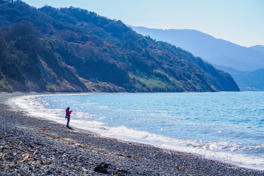 【愛媛県伊予市】巨大化石が眠る断崖、森の大谷海岸。数百万年の時空散歩へ！