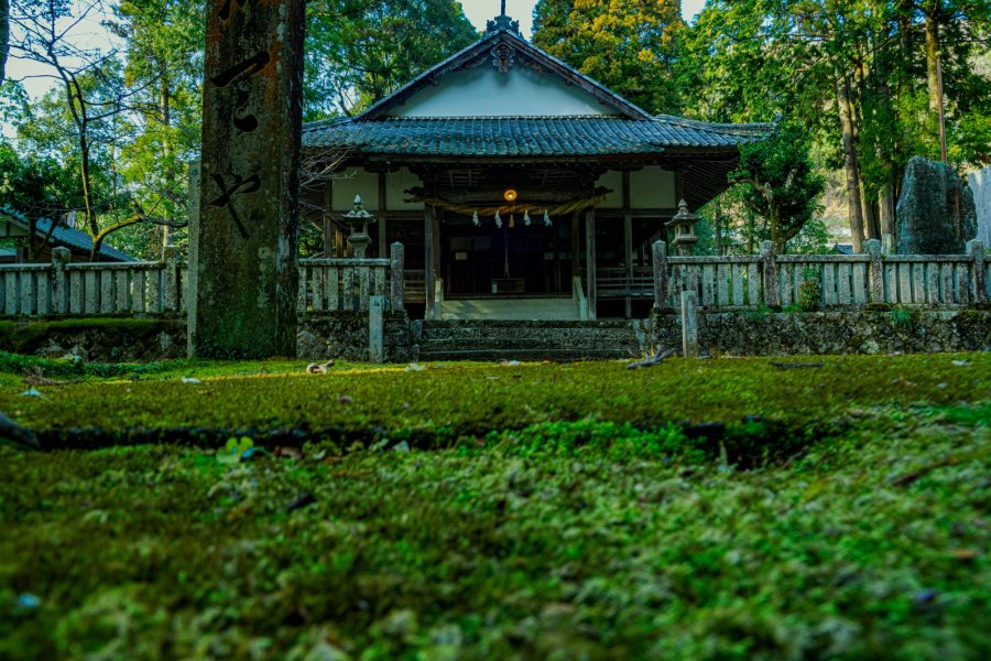 【愛媛県伊予市】1250年の静寂、緑の宇宙〜藤縄之森三島神社で出会う『究極の苔美』に癒やされる〜