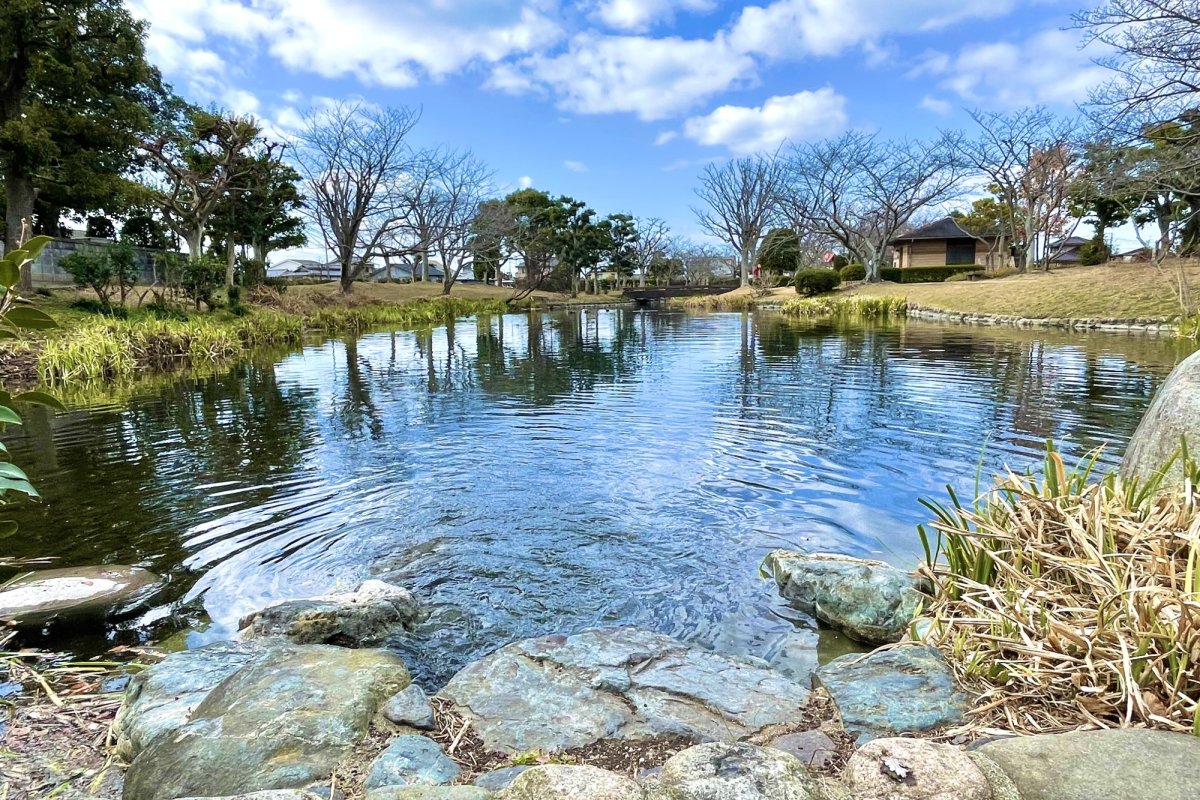 【愛媛県伊予郡松前町】”水辺の自然美に癒される”「ひょこたん池公園」