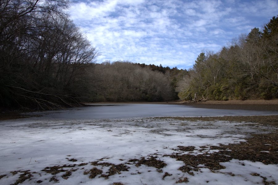 【愛媛県久万高原町】伝説の怪獣「鵺（ぬえ）」が棲んでいた!?冬の赤蔵ヶ池（あぞがいけ）で森林セラピー
