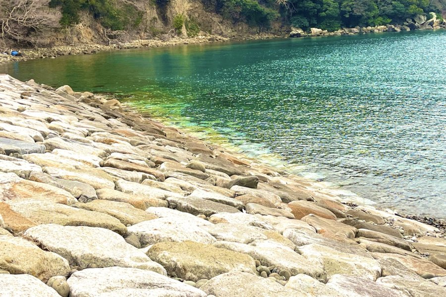 透明度抜群！愛南町室手海岸～夏は海水浴！冬はだるま夕日が観れる!?