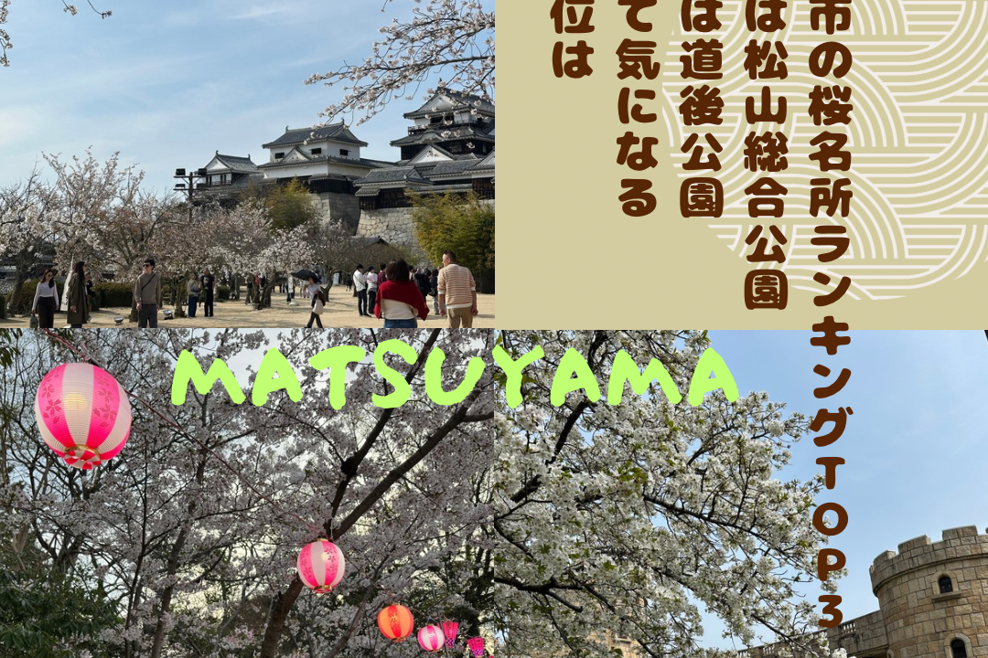 松山市の桜名所ベスト３！松山総合公園、道後公園を抑えて１位に輝いたのは？