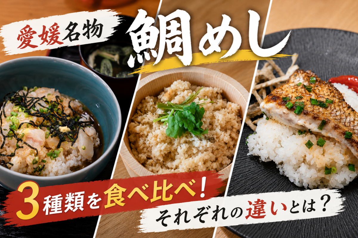 愛媛名物「鯛めし」3種類を食べ比べ！それぞれの違いとは？
