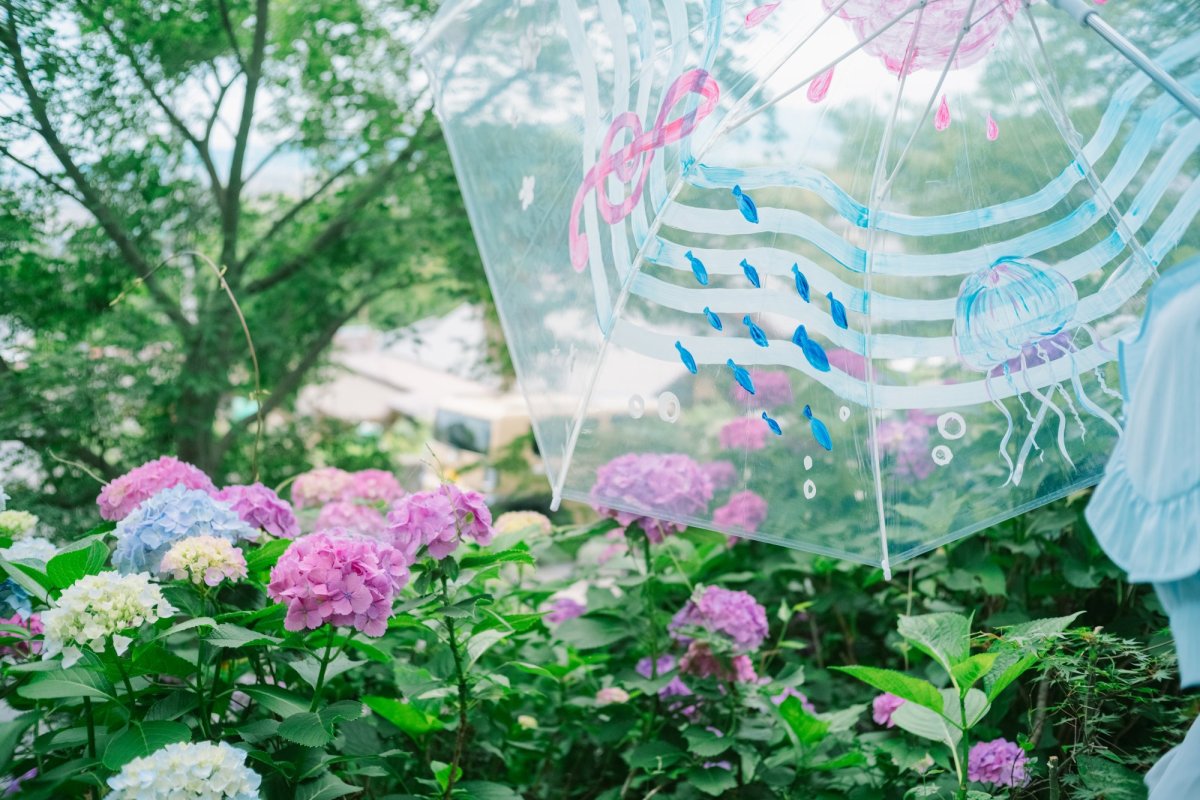 梅雨の時期イチオシの癒しスポット・新居浜市「あじさいロード山田」へ