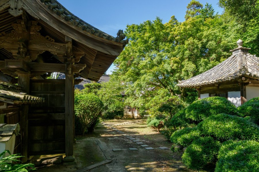 ココロがほどける、隠れ寺ひとり旅。伊予市「福田寺」で出逢った静寂と枯山水