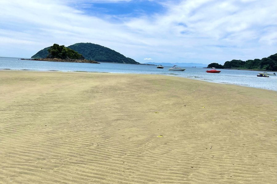 松山・興居島で夏を満喫！～海水浴に釣り！～