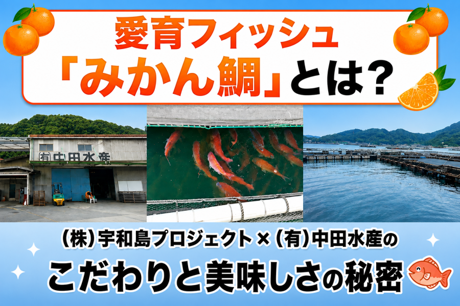 愛育フィッシュ「みかん鯛」とは？(株)宇和島プロジェクト×(有)中田水産のこだわりと美味しさの秘密