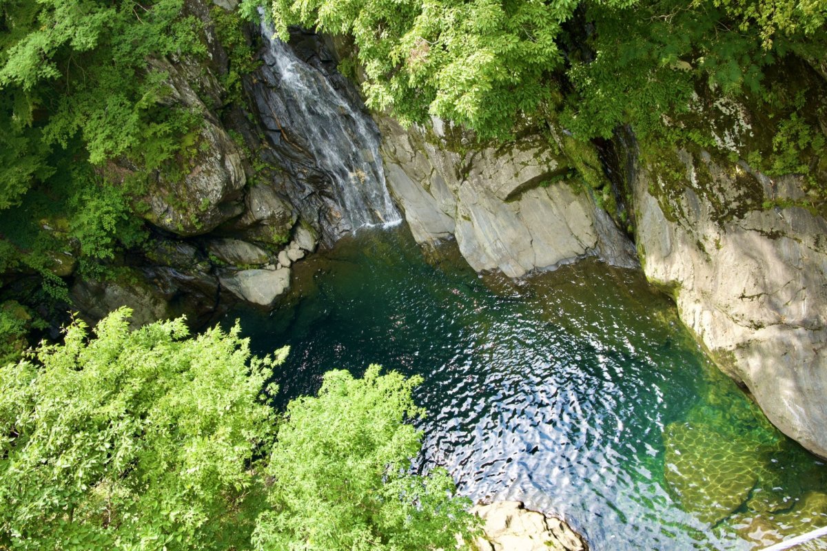 緑の別世界へ。新居浜市「保土野（ほどの）渓谷」