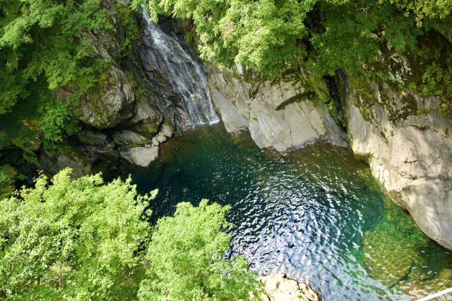 緑の別世界へ。新居浜市「保土野（ほどの）渓谷」