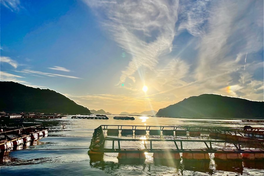 愛媛県宇和島市 ｢戸島｣旅