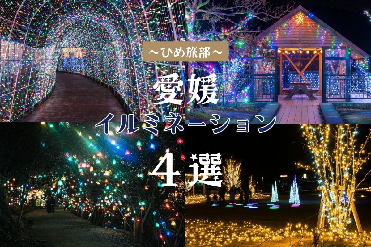 【冬の風物詩】愛媛のおすすめイルミネーション4選