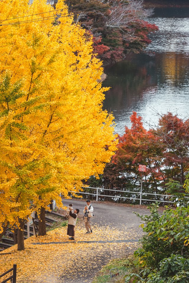 【ライター紹介】