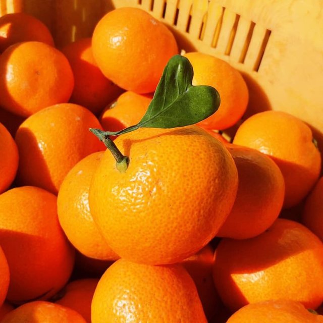 ひめ旅の ちょこ☆です♪