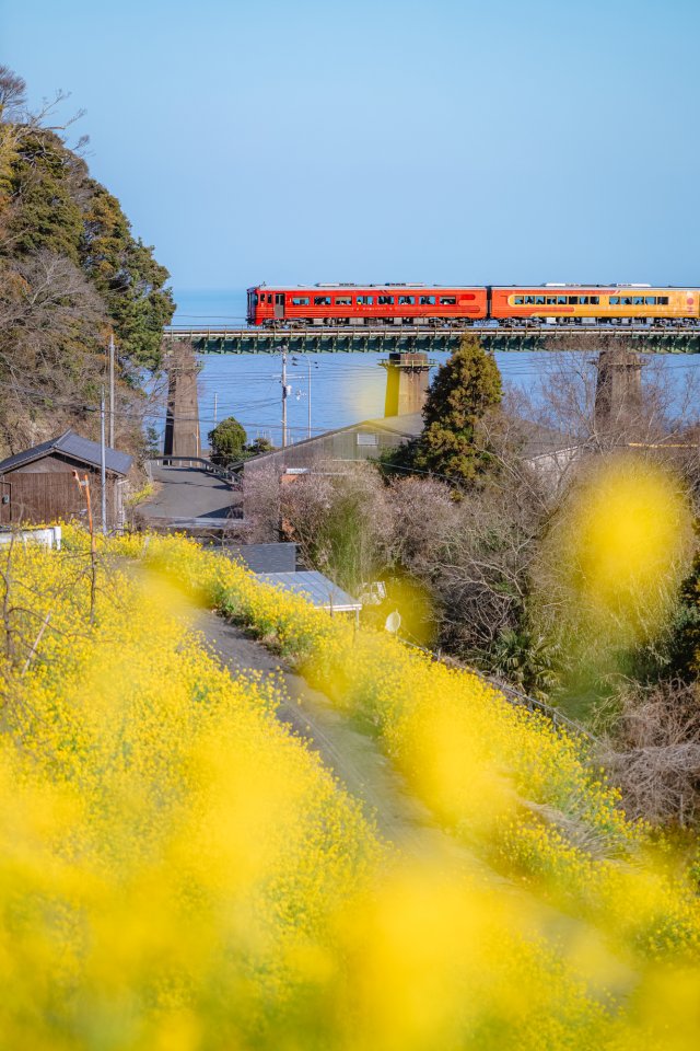 ひめ旅部のしゅんです！