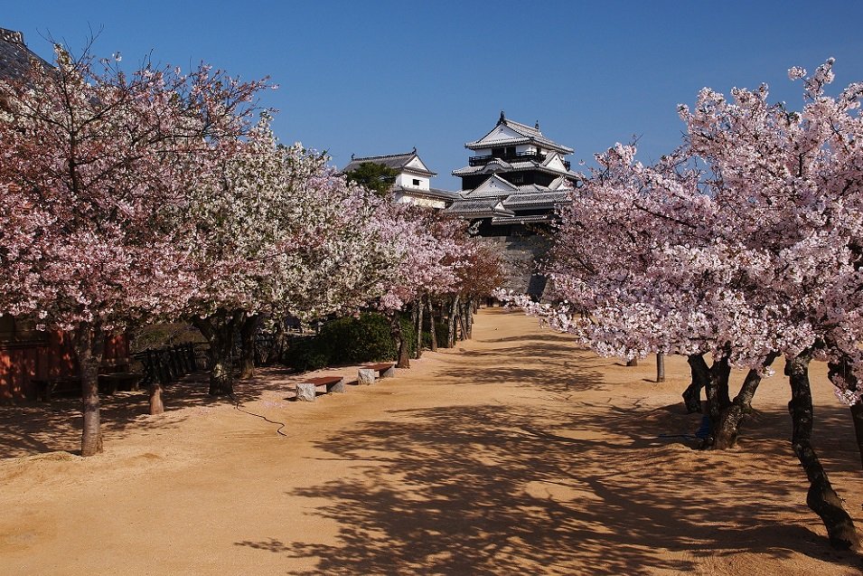 【歴史と絶景】愛媛の名城巡り6選