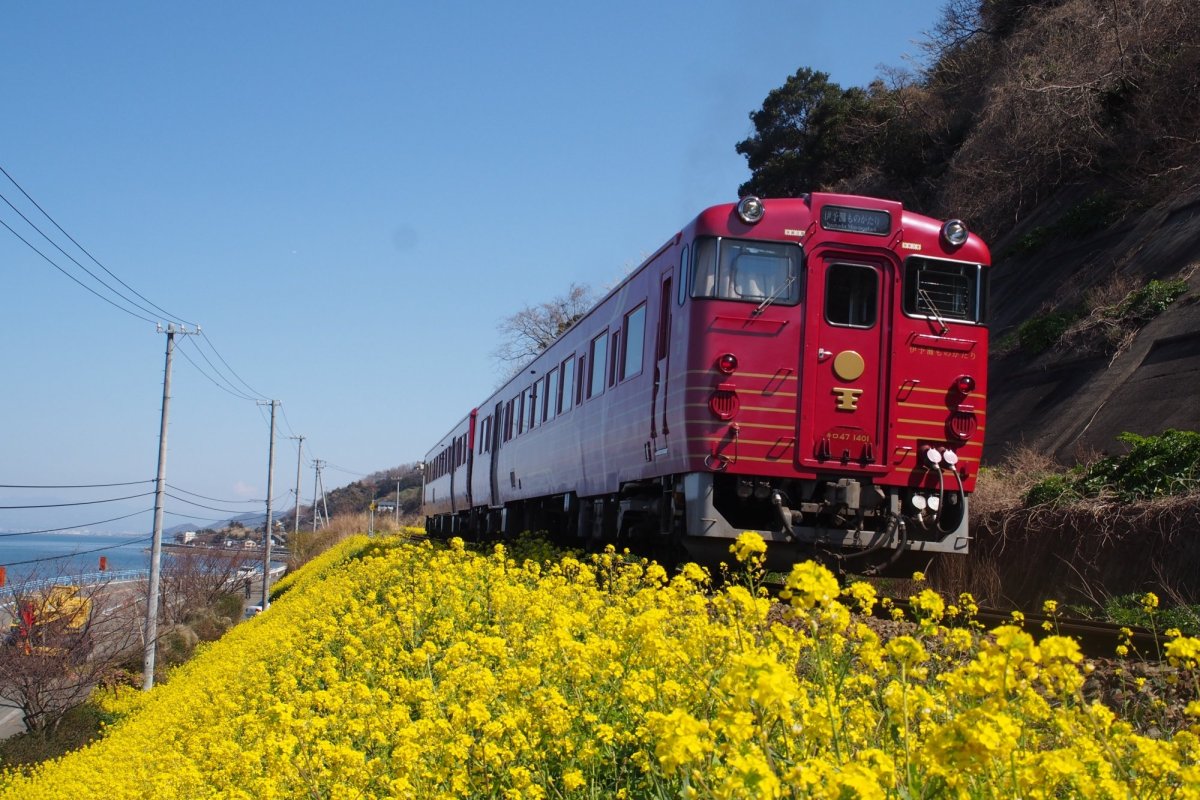 観光列車「伊予灘ものがたり」で美しい花景色を楽しもう