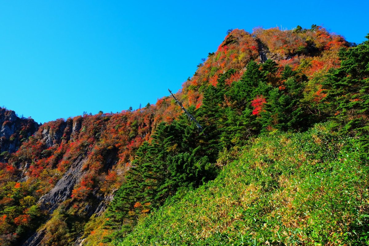 王道から穴場まで!愛媛県の紅葉名所ガイド：歴史的建造物と自然が織りなす秋の絶景