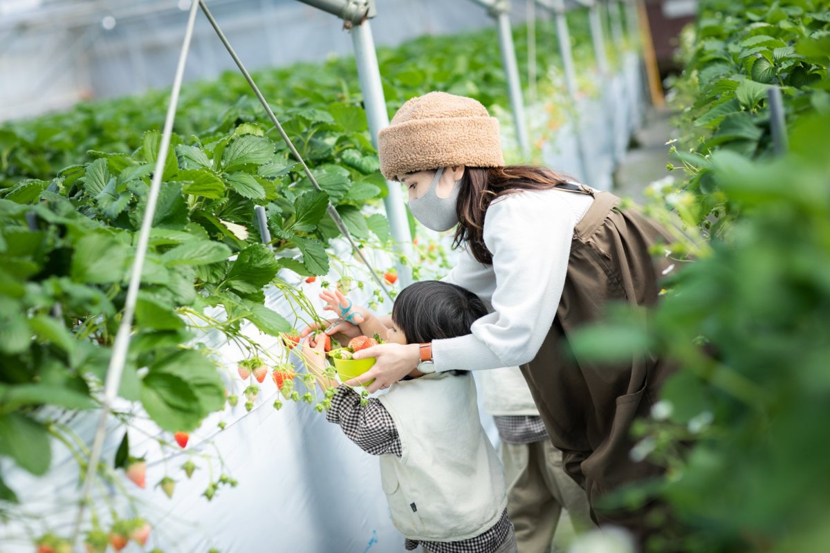 親子の絆がさらに深まる日帰り旅