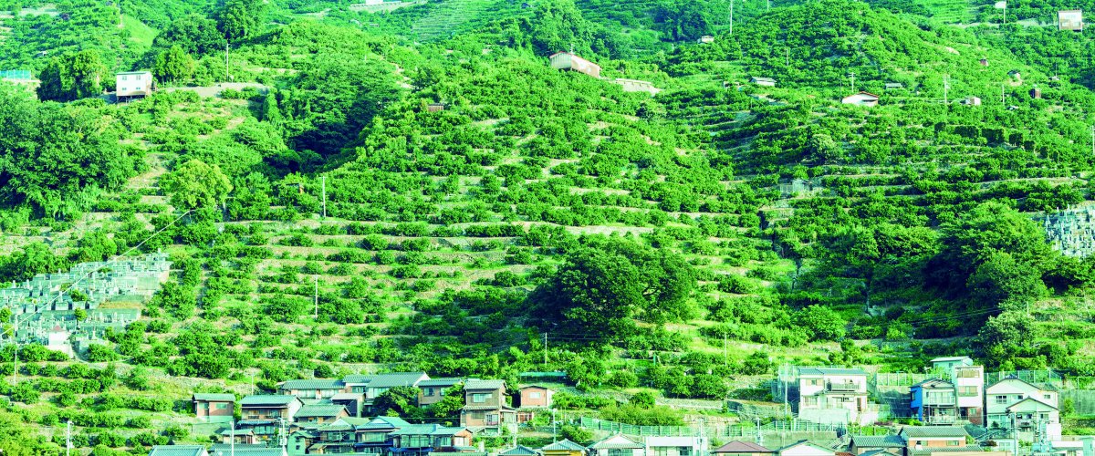 向灘（八幡浜）