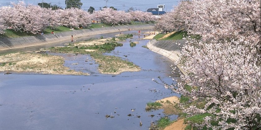 頓田川河川敷