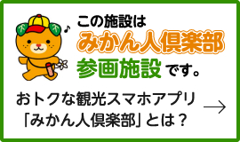 えひめ愛顔の観光物産館 愛媛のスポット 体験 愛媛県の公式観光サイト いよ観ネット えひめ愛顔の観光物産館 愛媛のスポット 体験 愛媛県の公式観光サイト いよ観ネット