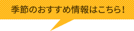 季節のおすすめ情報はこちら！