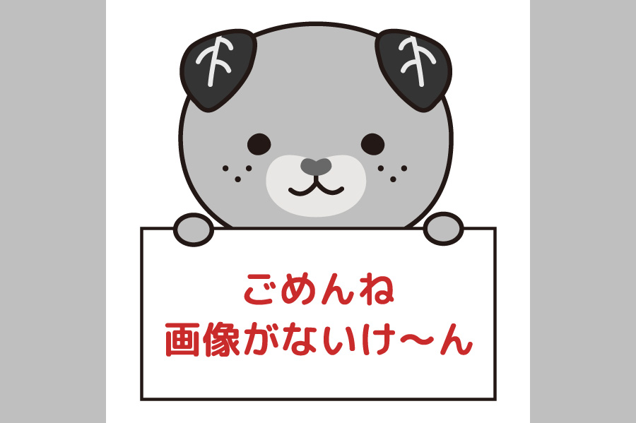 くまの森【久万高原町】