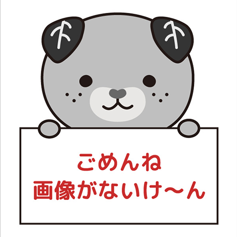 素敵な休日は「せとうちみなとマルシェ」で！