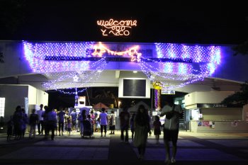 夜のとべ動物園