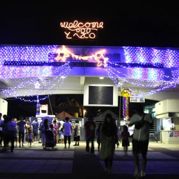 夜のとべ動物園