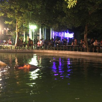 夜のとべ動物園