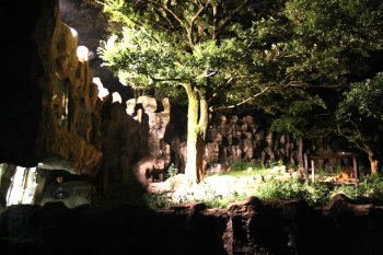 夜のとべ動物園