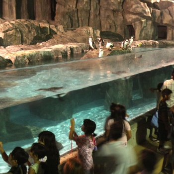 夜のとべ動物園