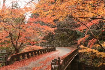 三滝渓谷自然公園