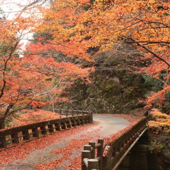 三滝渓谷自然公園