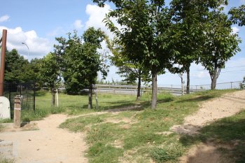 石鎚山サービスエリア（上り）