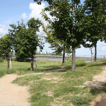 石鎚山サービスエリア（上り）