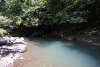 人造ぶち