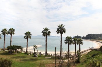 大角海浜公園