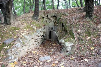 愛媛県総合運動公園 古代の森
