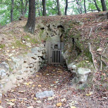 愛媛県総合運動公園 古代の森
