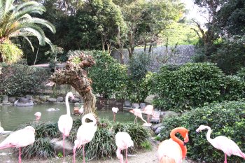 愛媛県立とべ動物園 ウォーターストリート