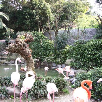 愛媛県立とべ動物園 ウォーターストリート