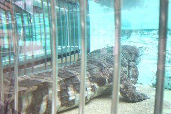 愛媛県立とべ動物園 スネークハウス
