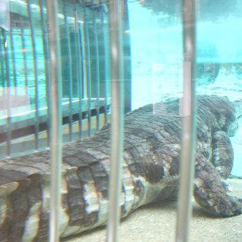 愛媛県立とべ動物園 スネークハウス