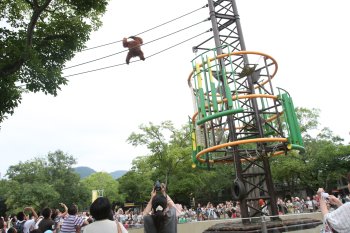 愛媛県立とべ動物園 モンキータウン