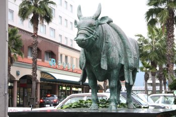 ワシントンヤシ通り